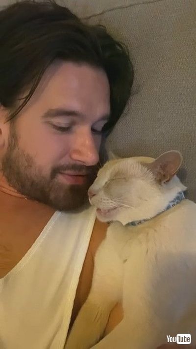 「Cat Talks in its Sleep || ViralHog」