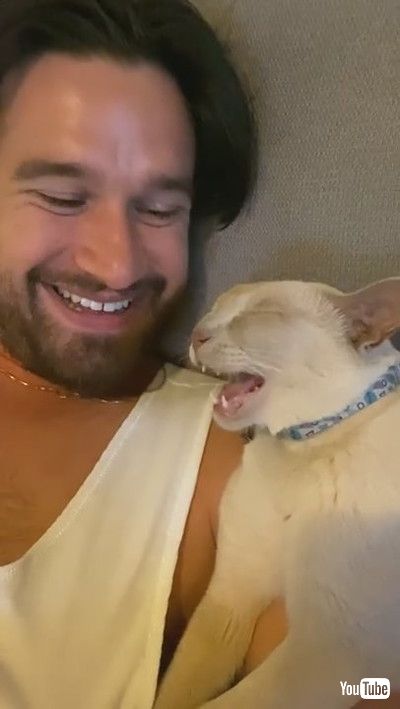 「Cat Talks in its Sleep || ViralHog」