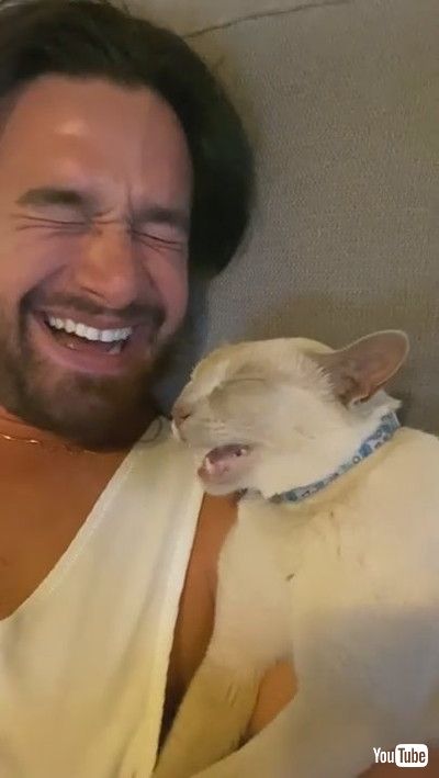 「Cat Talks in its Sleep || ViralHog」