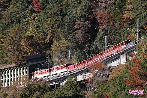 鉄道 島根 トロッコ 奥出雲おろち号 客車