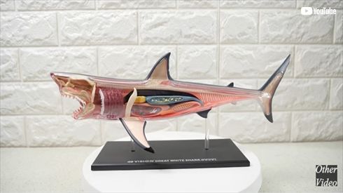 圧倒的不審者の極み 包丁 knife