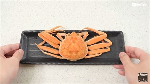 圧倒的不審者の極み 包丁 knife