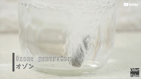 圧倒的不審者の極み 包丁 knife