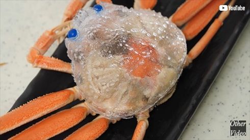 圧倒的不審者の極み 包丁 knife