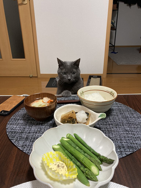 食卓を見つめるくろすけくん