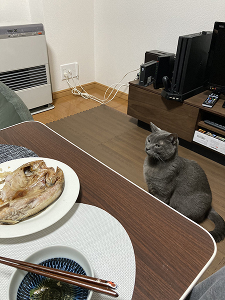 別日のホッケヘンタ―