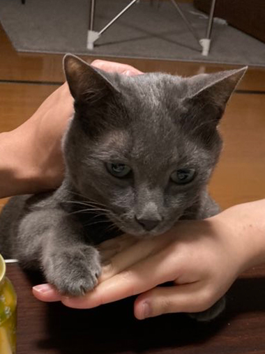 ホッケ攻防戦アップ