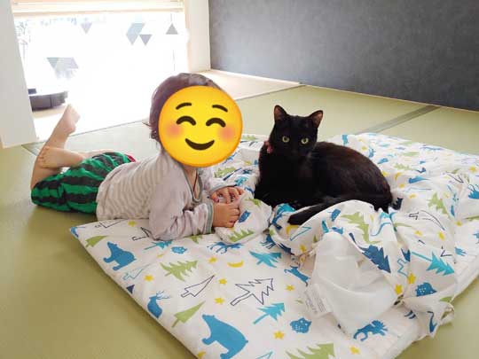 子どもと猫
