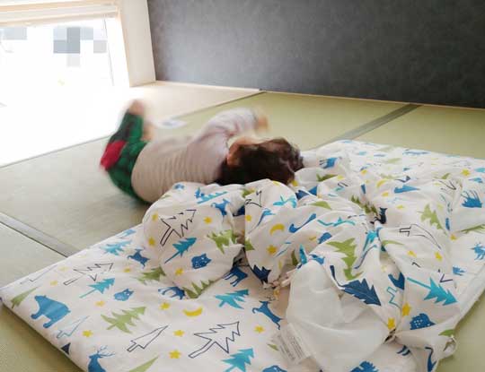 猫 子守り 2歳児 泣き止ませる お兄ちゃん 黒猫