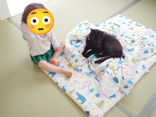 猫 子守り 2歳児 泣き止ませる お兄ちゃん 黒猫