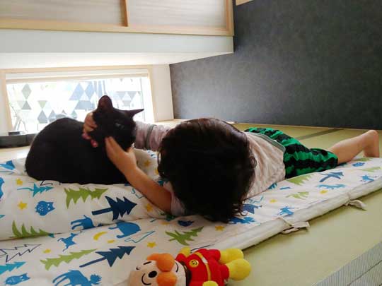 猫 子守り 2歳児 泣き止ませる お兄ちゃん 黒猫