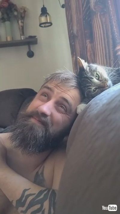 「Cat Accidentally Pokes Tiny Paw Into Owner's Eye While Cuddling With Him - 1199722」