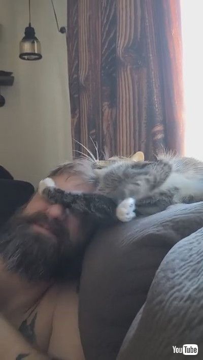 「Cat Accidentally Pokes Tiny Paw Into Owner's Eye While Cuddling With Him - 1199722」