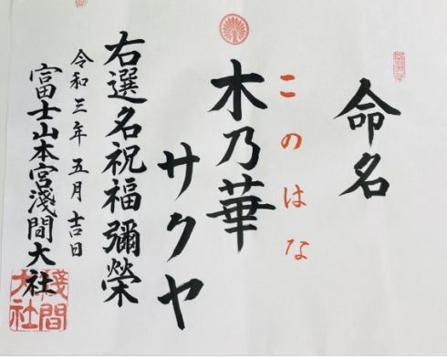 VTuber 静岡 コノハナサクヤヒメ