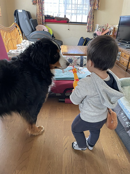 囲まれる弟くんアップ