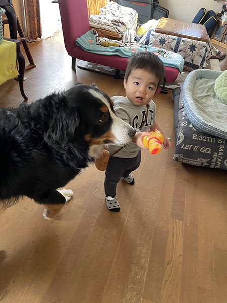 囲まれる弟くんアップ