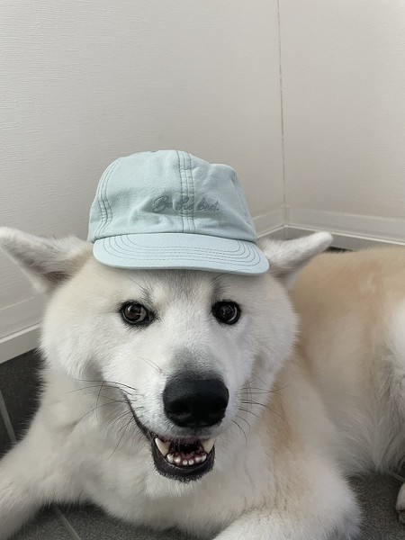 囲まれる弟くんアップ