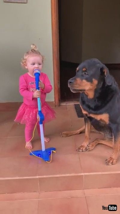 「Toddler and Pet Dog Sing Together Loudly - 1199461-2」