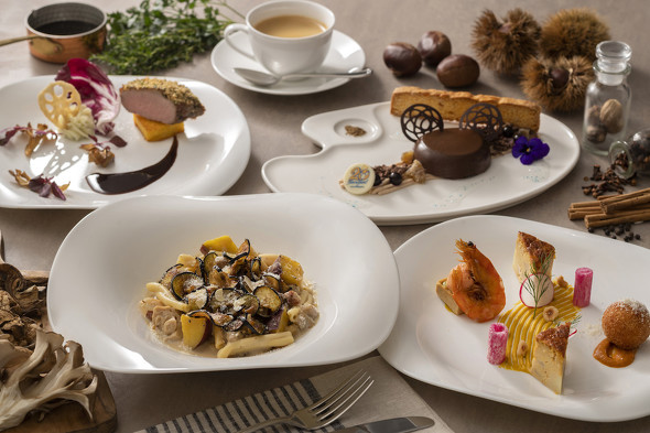 TDS タイムトゥシャイン