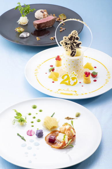 TDS タイムトゥシャイン