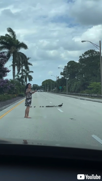 女性のサポートで道路を横断するカモの親子
