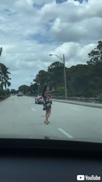 女性のサポートで道路を横断するカモの親子