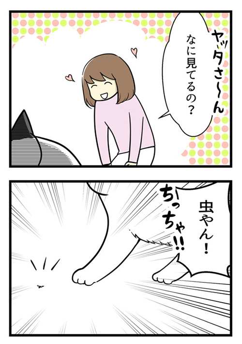 よくわからない猫の本能を目にした結果3