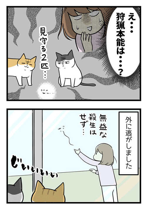 よくわからない猫の本能を目にした結果4