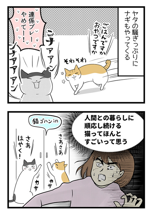  驚きの順応性でどんどん進化しそうって話4