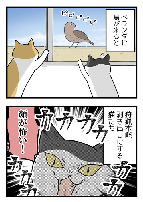 よくわからない猫の本能を目にした結果1