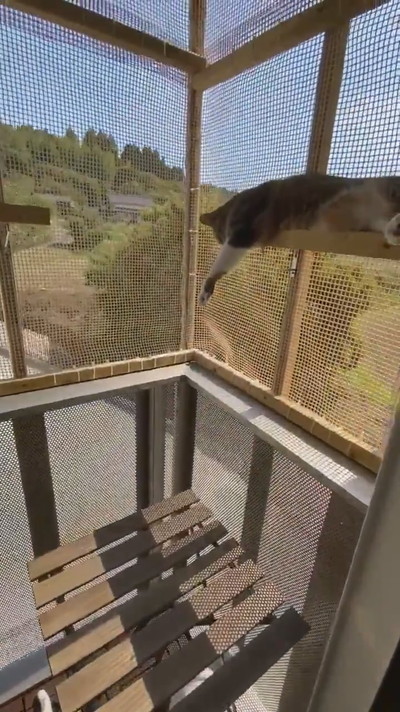 大改造DIYベランダでネコちゃん満足
