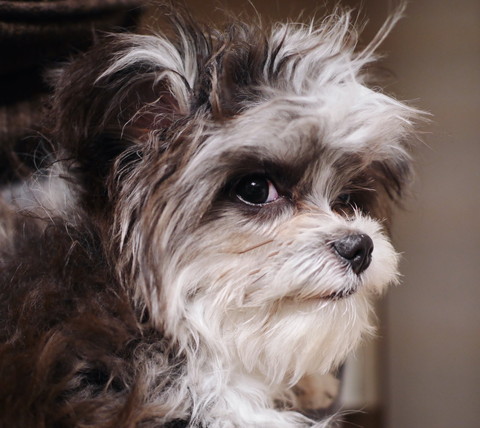 いろんないちふじくん