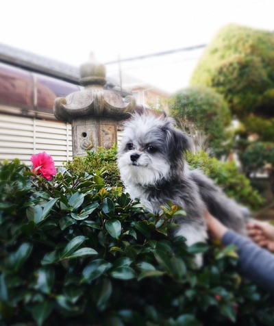 いろんないちふじくん