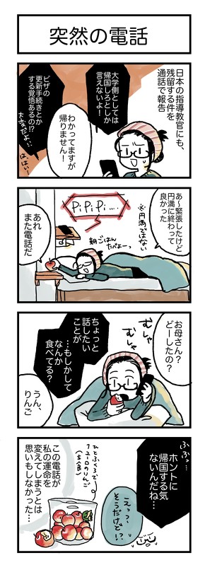 コロナ 帰国日記