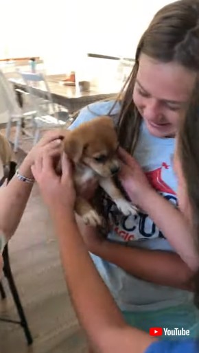 誕生日サプライズ