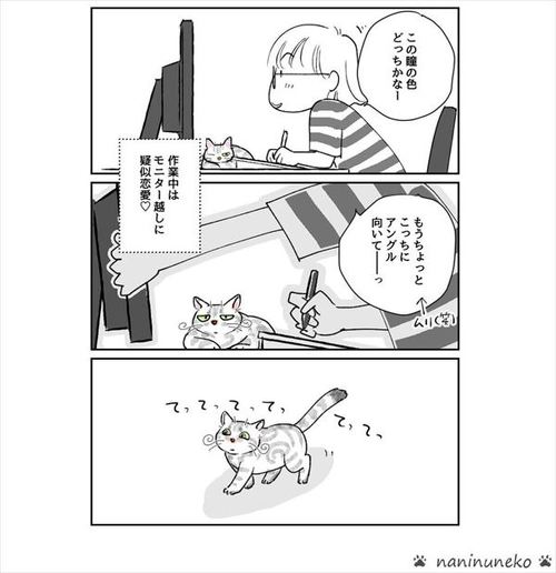 猫