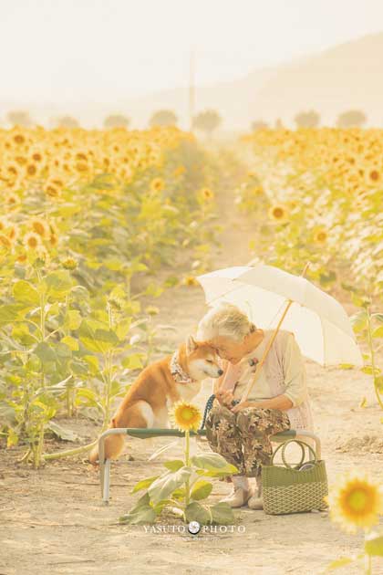 おばあちゃん 柴犬 福ちゃん 幸せ 写真 YASUTO 祖母グラフィー