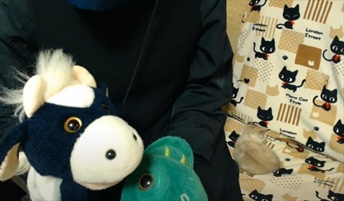 パペットマペットさん子猫