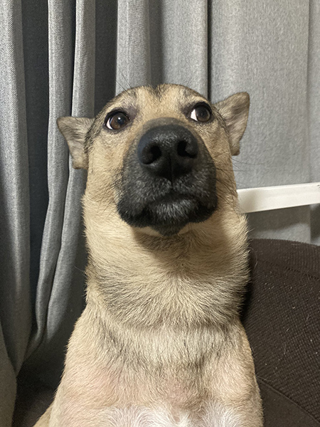 オスカくんアップ
