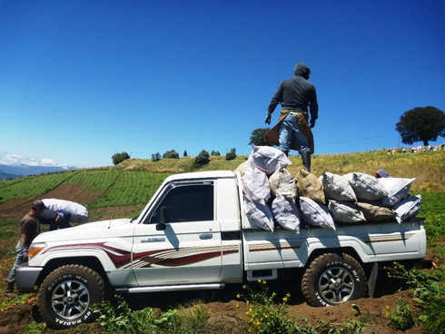 ランドクルーザー300シリーズ