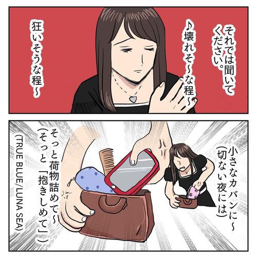 小さいカバンに入らない