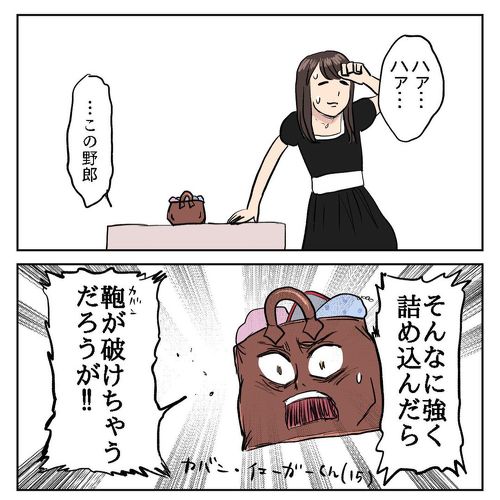 小さいカバンに入らない