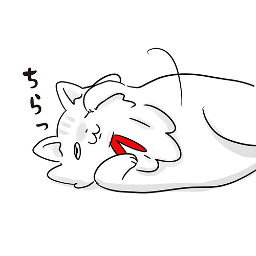 女王猫の扱い方4