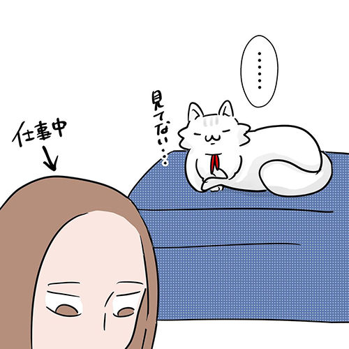 女王猫の扱い方5