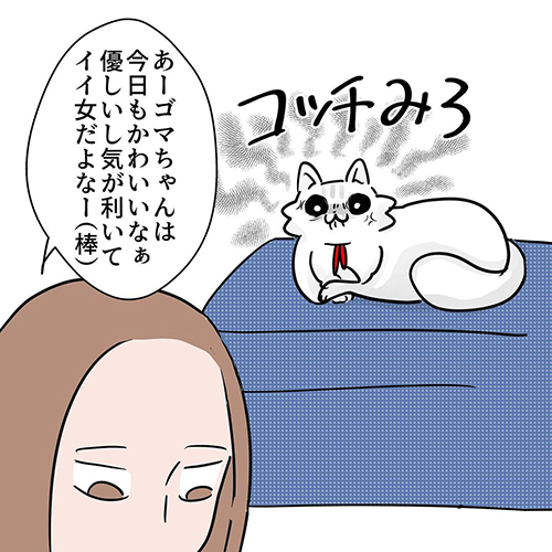 女王猫の扱い方7