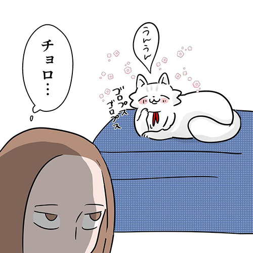 女王猫の扱い方8