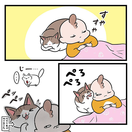  猫だって愛したい2