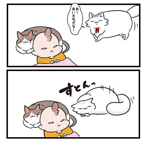  猫だって愛したい3
