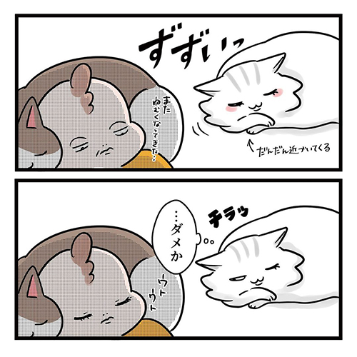  猫だって愛したい4