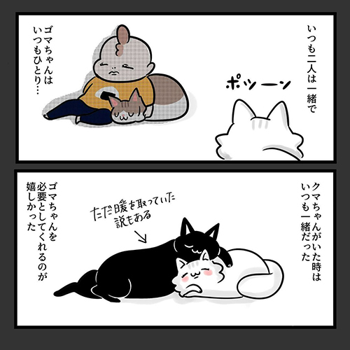  猫だって愛したい5